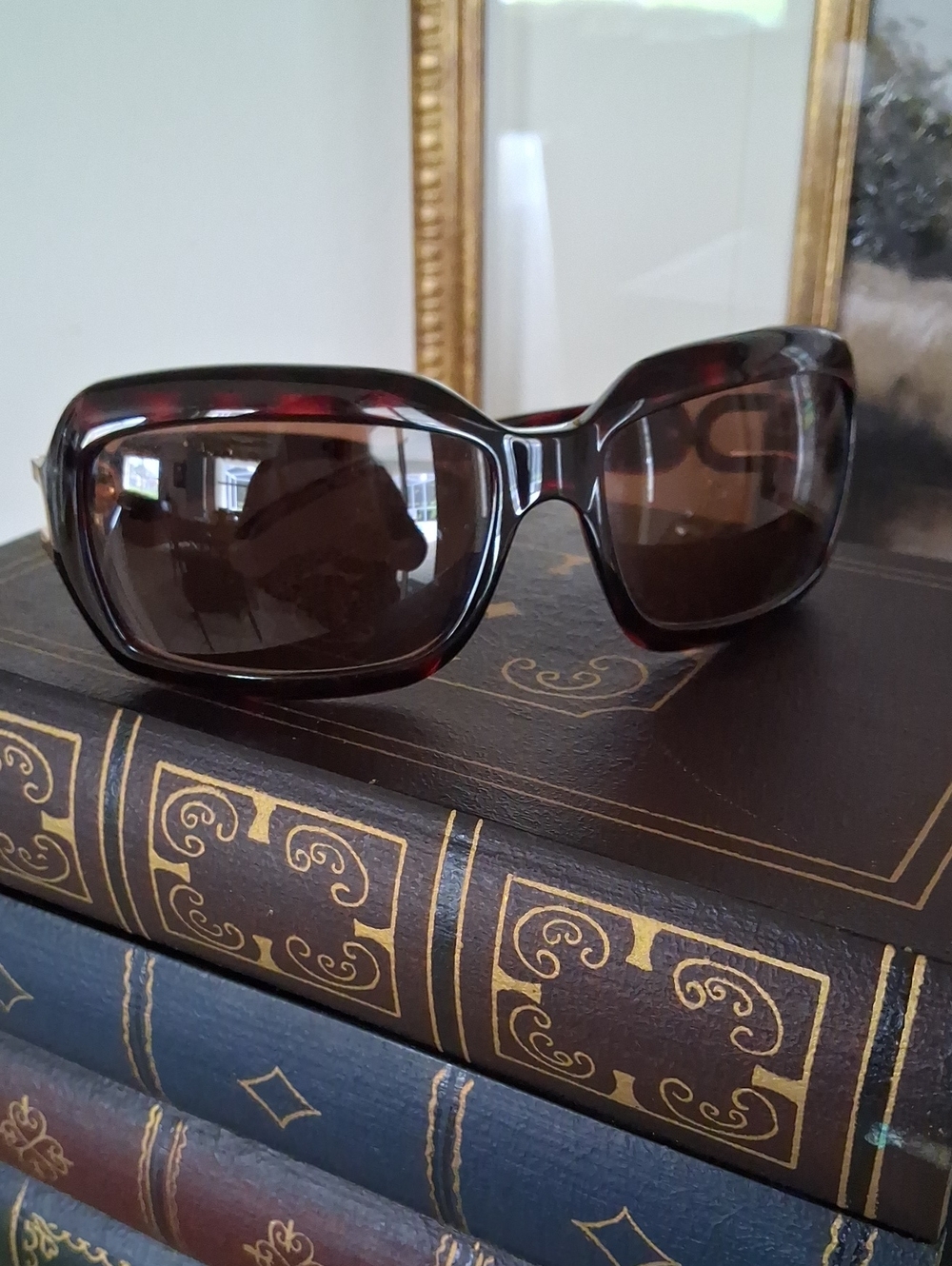 JIMMY CHOO Women's Brown Tortoiseshell Oversized Sunglasses